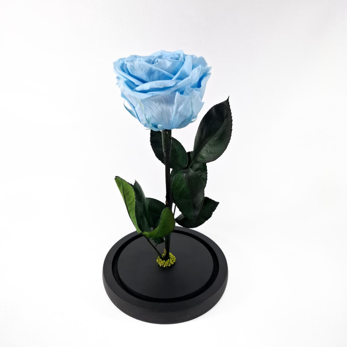 Trandafir Criogenat Albastru Deschis in Cupola de Sticla --livrare-gratuita-atelierul-floral-infinity. [4]