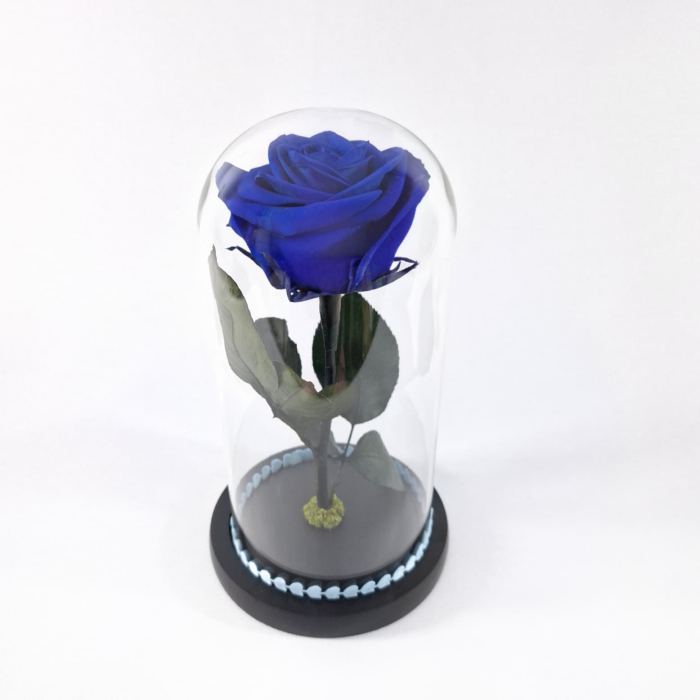 Trandafir Criogenat Albastru in Cupola de Sticla --livrare-gratuita-atelierul-floral-infinity. [3]