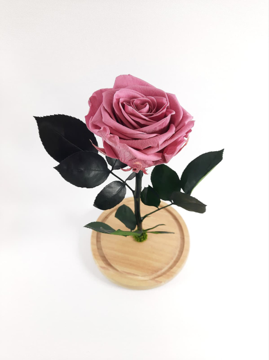 Trandafir Criogenat Cherry Blossom in Cupola de Sticla --livrare-gratuita-atelierul-floral-infinity. [2]