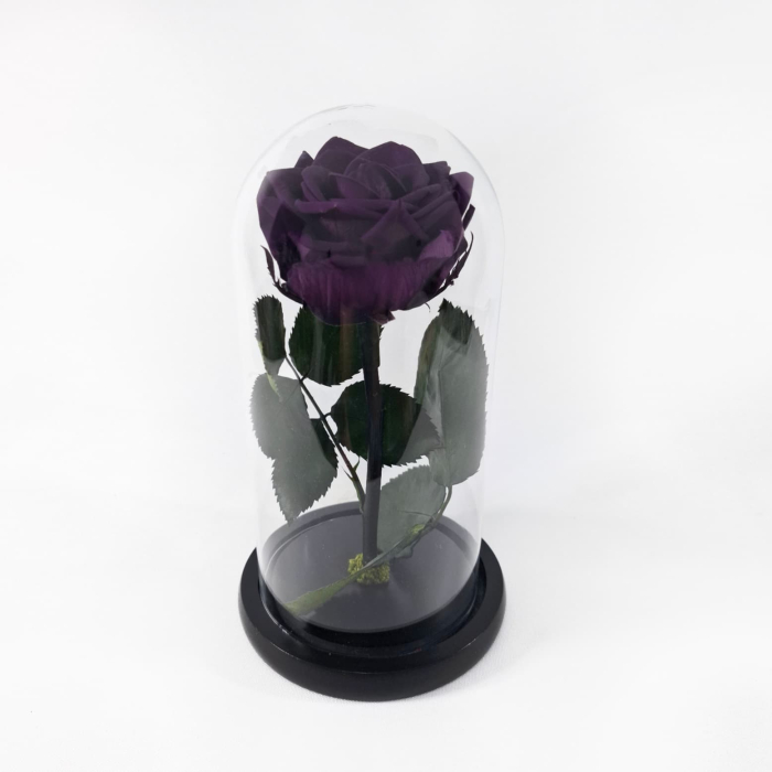Trandafir Criogenat Mov Inchis in Cupola de Sticla --livrare-gratuita-atelierul-floral-infinity. [3]