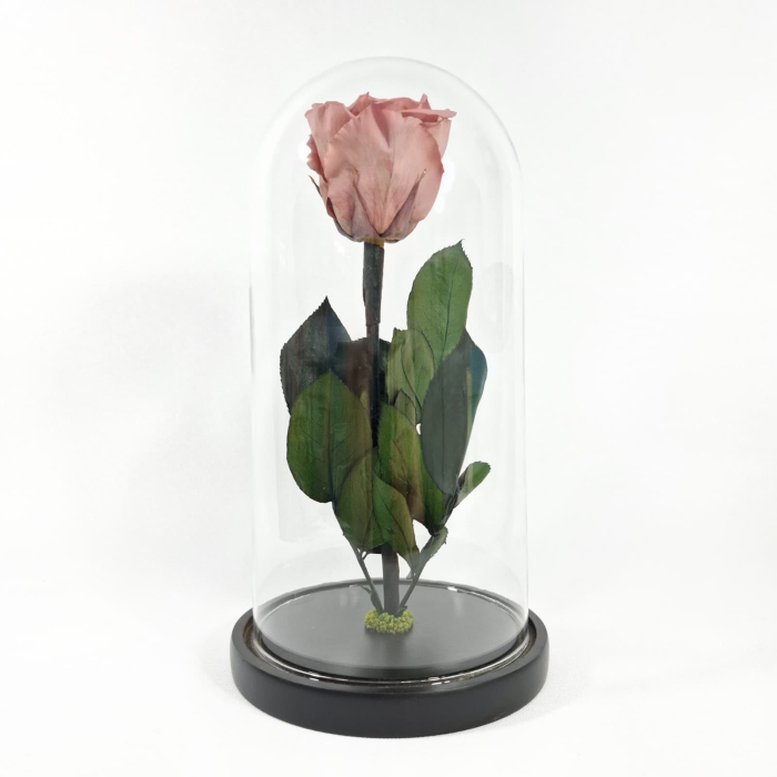 Trandafir Criogenat Chocolate in Cupola de Sticla --livrare-gratuita-atelierul-floral-infinity. [3]