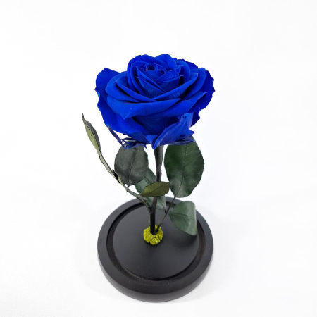 Trandafir Criogenat Albastru in Cupola de Sticla --livrare-gratuita-atelierul-floral-infinity. [1]