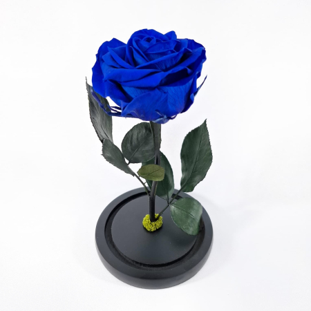 Trandafir Criogenat Albastru in Cupola de Sticla --livrare-gratuita-atelierul-floral-infinity. [3]