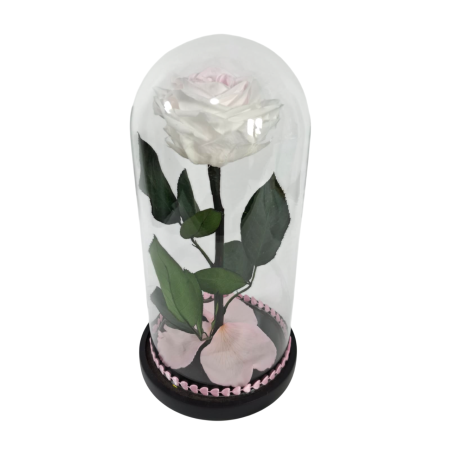Trandafiri Criogenați în Cupolă de Sticlă - Trandafir Criogenat Bicolor in Cupola de Sticla --livrare-gratuita-atelierul-floral-infinity.