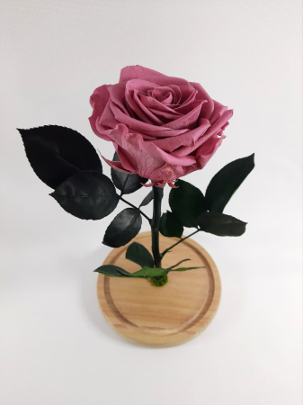 Trandafir Criogenat Cherry Blossom in Cupola de Sticla --livrare-gratuita-atelierul-floral-infinity. [2]