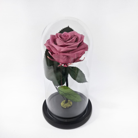 Trandafiri Criogenați în Cupolă de Sticlă - Trandafir Criogenat Cherry Blossom in Cupola de Sticla --livrare-gratuita-atelierul-floral-infinity.