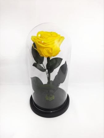Trandafiri Criogenați în Cupolă de Sticlă - Trandafir Criogenat Galben in Cupola de Sticla --livrare-gratuita-atelierul-floral-infinity.