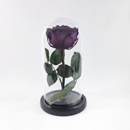 Trandafiri Criogenați în Cupolă de Sticlă - Trandafir Criogenat Mov Inchis in Cupola de Sticla --livrare-gratuita-atelierul-floral-infinity.