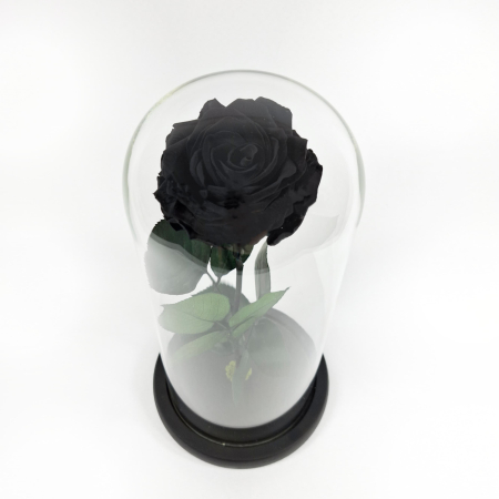 Trandafiri Criogenați în Cupolă de Sticlă - Trandafir Criogenat Negru in Cupola de Sticla --livrare-gratuita-atelierul-floral-infinity.