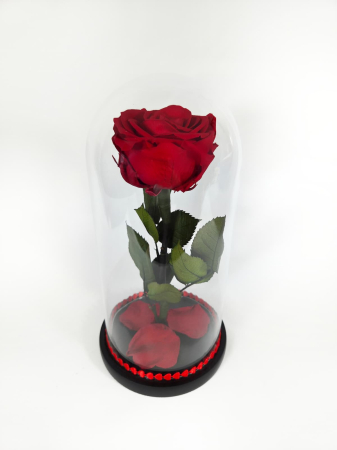 Trandafiri Criogenați în Cupolă de Sticlă - Trandafir Criogenat Rosu in Cupola de Sticla --livrare-gratuita-atelierul-floral-infinity.