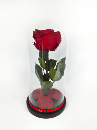 Trandafir Criogenat Rosu in Cupola de Sticla --livrare-gratuita-atelierul-floral-infinity. [2]
