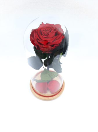 Trandafiri Criogenați în Cupolă de Sticlă - Trandafir Criogenat Rosu in Cupola de Sticla --livrare-gratuita-atelierul-floral-infinity.