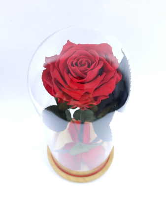 Trandafir Criogenat Rosu in Cupola de Sticla --livrare-gratuita-atelierul-floral-infinity. [3]