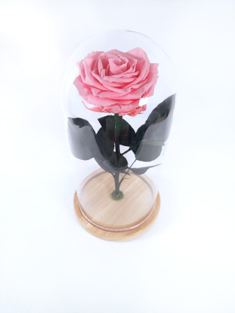 Trandafiri Criogenați în Cupolă de Sticlă - Trandafir Criogenat Roz Pal in Cupola de Sticla --livrare-gratuita-atelierul-floral-infinity.