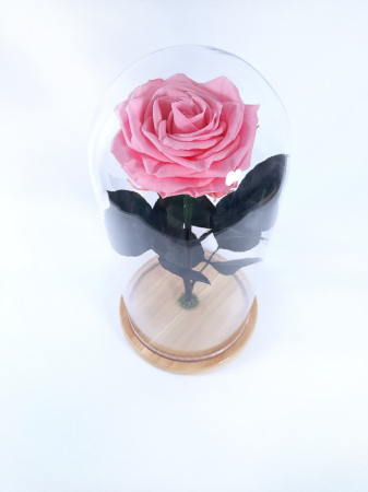 Trandafir Criogenat Roz Pal in Cupola de Sticla --livrare-gratuita-atelierul-floral-infinity. [3]