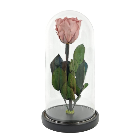Trandafiri Criogenați în Cupolă de Sticlă - Trandafir Criogenat Chocolate in Cupola de Sticla --livrare-gratuita-atelierul-floral-infinity.