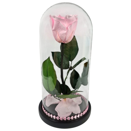 Trandafiri Criogenați în Cupolă de Sticlă - Trandafir Criogenat Roz Prefuit in Cupola de Sticla --livrare-gratuita-atelierul-floral-infinity.