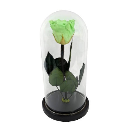 Trandafiri Criogenați în Cupolă de Sticlă - Trandafir Criogenat Verde Deschis in Cupola de Sticla --livrare-gratuita-atelierul-floral-infinity.