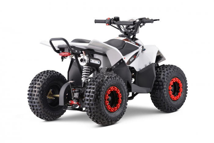 ATV motor benzina, 110cc, cutie semi automata, 4 timpi, model ATV005 [11]