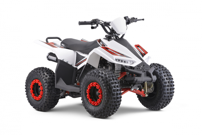 ATV motor benzina, 110cc, cutie semi automata, 4 timpi, model ATV005 [9]