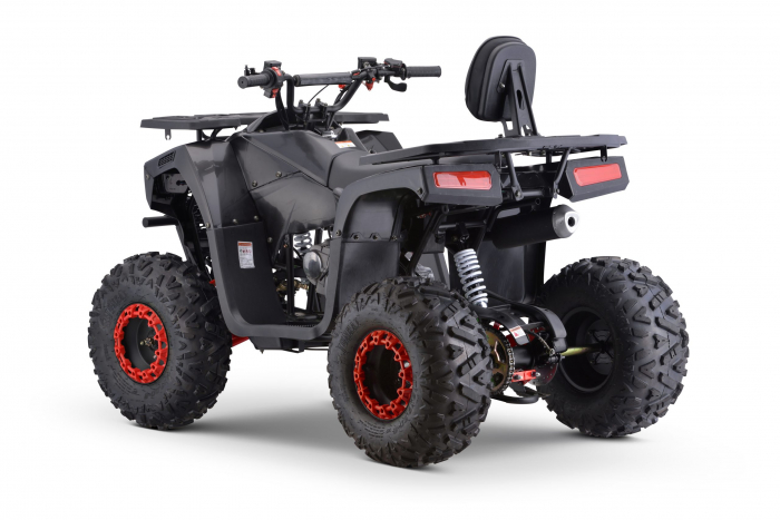 ATV motor benzina, 125cc, cutie automata, 4 timpi, racire cu aer, model ATV009 [2]