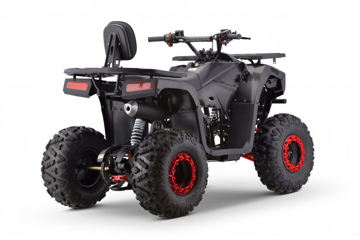 ATV motor benzina, 125cc, cutie automata, 4 timpi, racire cu aer, model ATV009 [3]