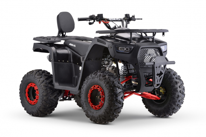 ATV motor benzina, 125cc, cutie automata, 4 timpi, racire cu aer, model ATV009 [6]