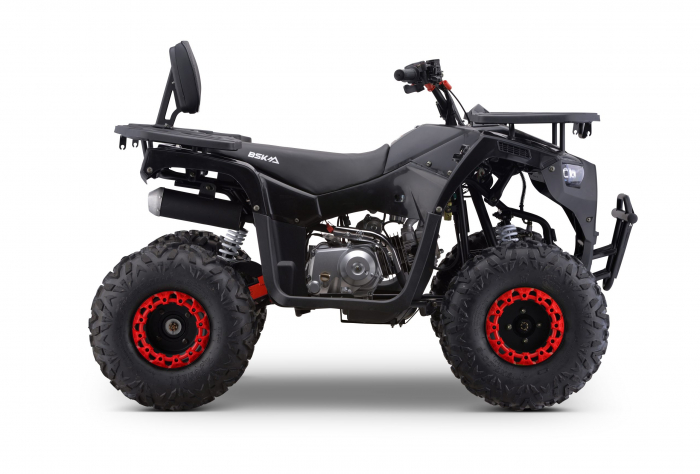 ATV motor benzina, 125cc, cutie automata, 4 timpi, racire cu aer, model ATV009 [5]