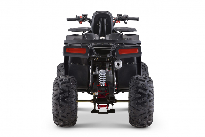 ATV motor benzina, 125cc, cutie automata, 4 timpi, racire cu aer, model ATV009 [4]