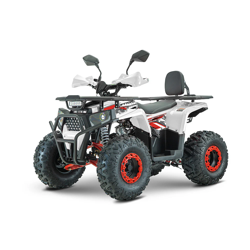 ATV RDB 125 CC, Cutie Automata, Lumini Led, Transmisie Automata [2]