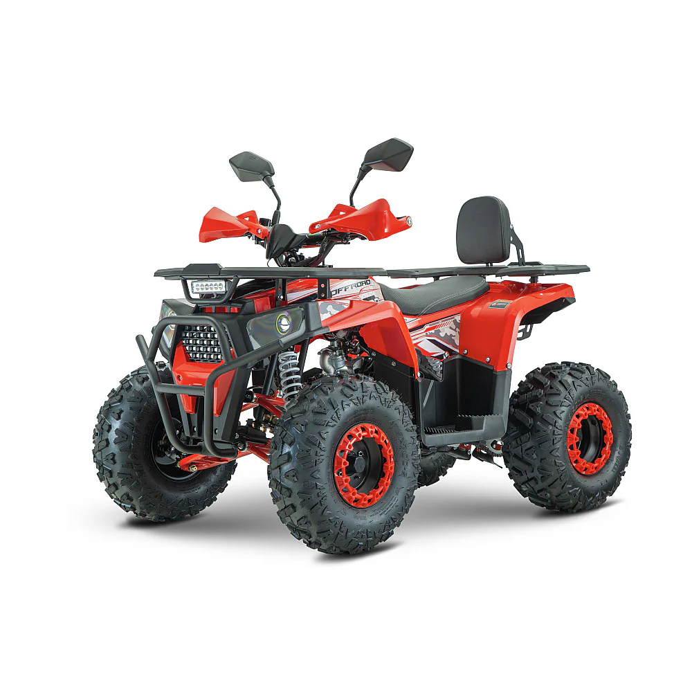 ATV RDB 125 CC, Cutie Automata, Lumini Led, Transmisie Automata [3]