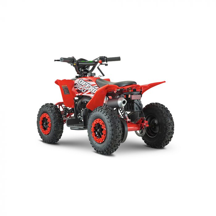 ATV RDB AV49, 49cc, Racire pe aer, 2 Timpi [7]