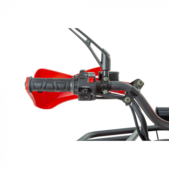 ATV RDB AW200, 180cc, 4 Timpi [9]