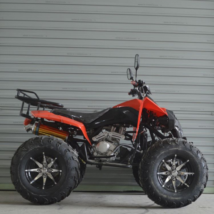 ATV ZG250-C-5, motor benzina,250cc, 4 viteze, cutie de viteze manuala [3]