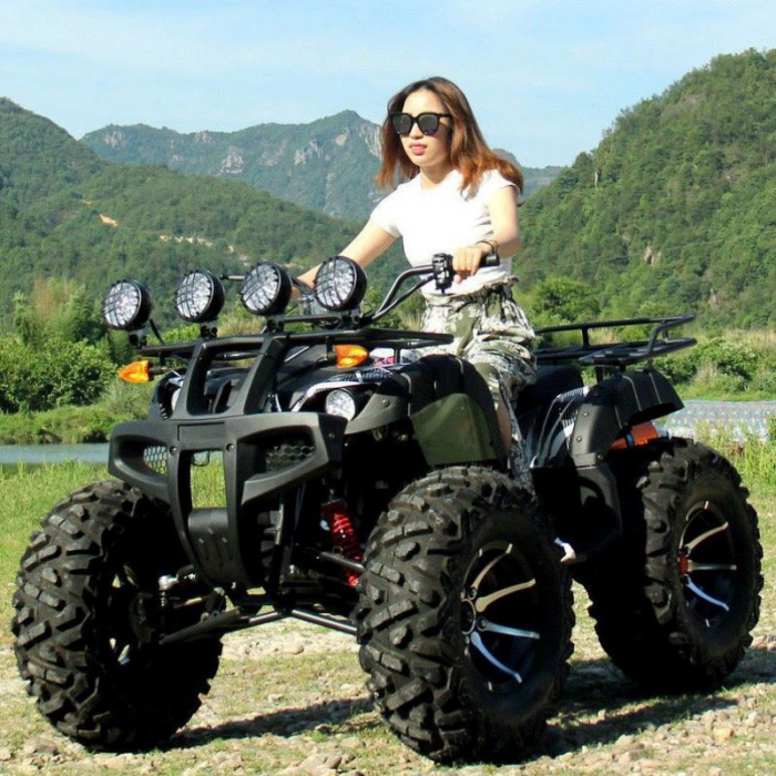 ATV ZG250C1, motor benzina, 250cc, 4 viteze, cutie de viteze manuala [3]