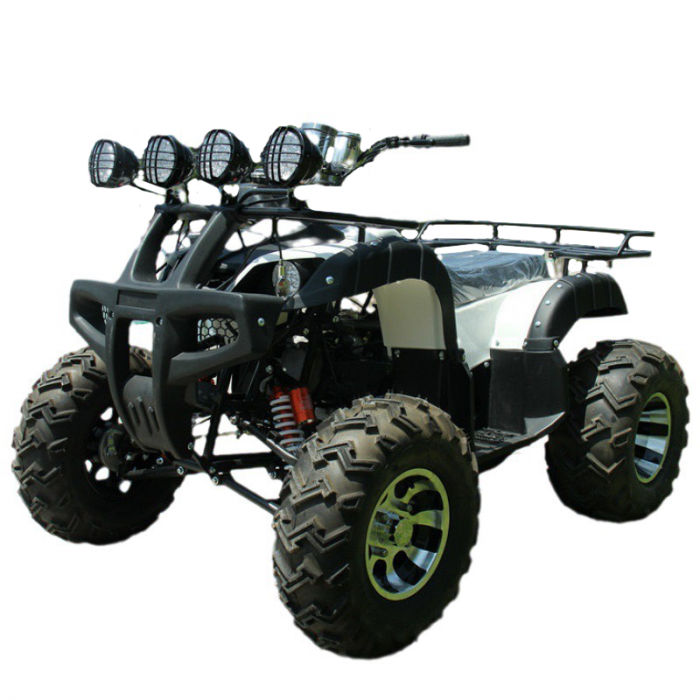 ATV ZG250C1, motor benzina, 250cc, 4 viteze, cutie de viteze manuala [1]