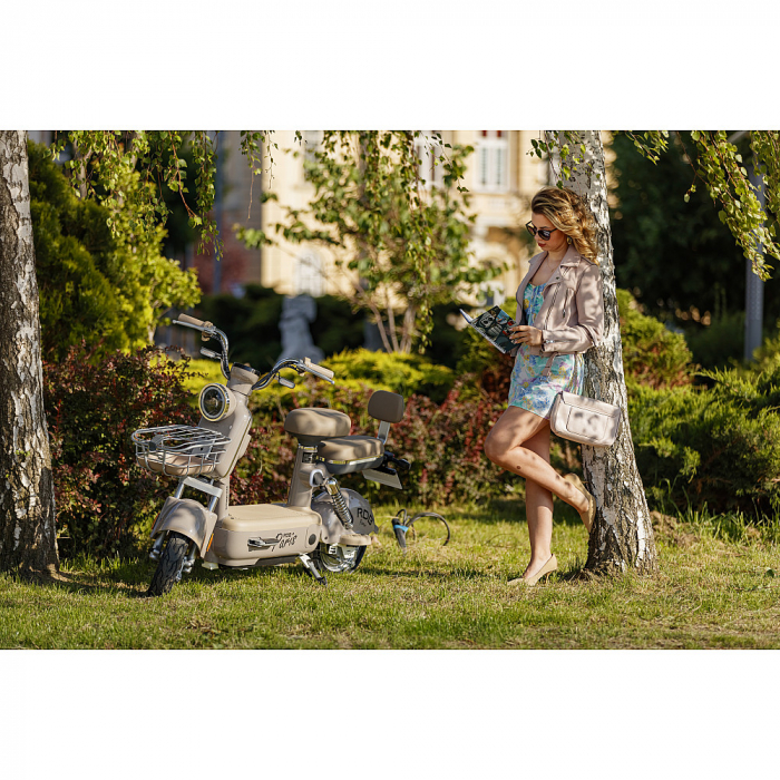 Scuter Electric RDB PARIS, 600W, fara permis, 48V 20Ah, 25km/h [2]