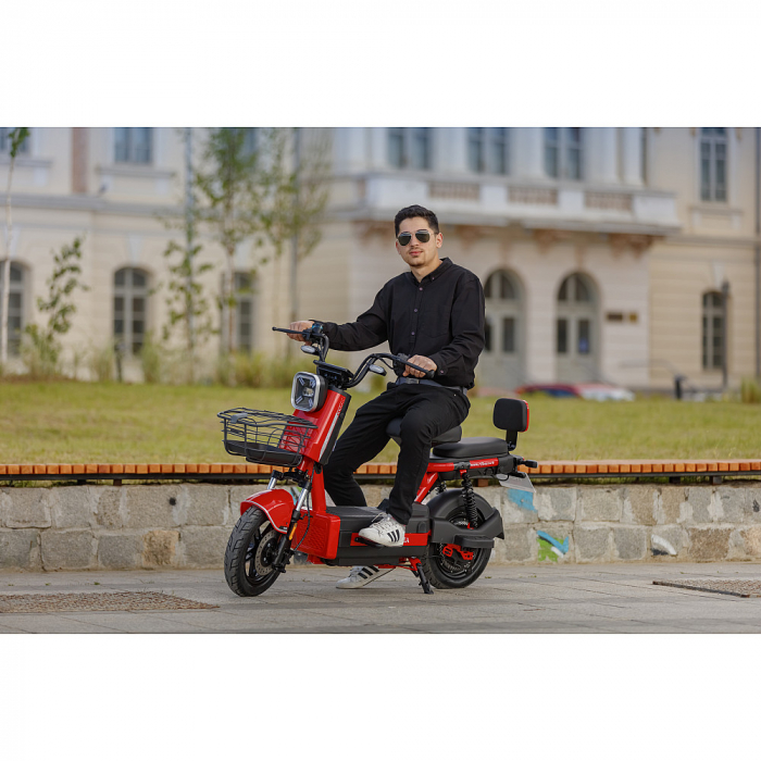 Scuter Electric RDB ROMA, 600W, fara permis, 25km/h [2]