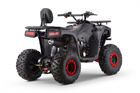 ATV motor benzina, 125cc, cutie automata, 4 timpi, racire cu aer, model ATV009 [2]