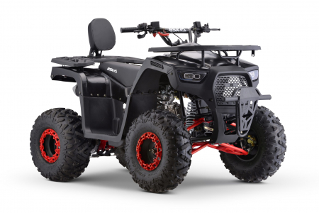 ATV motor benzina, 125cc, cutie automata, 4 timpi, racire cu aer, model ATV009 [5]