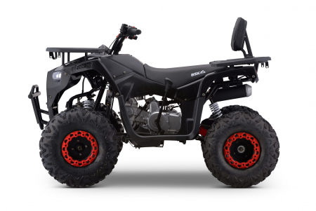 ATV motor benzina, 125cc, cutie automata, 4 timpi, racire cu aer, model ATV009 [7]