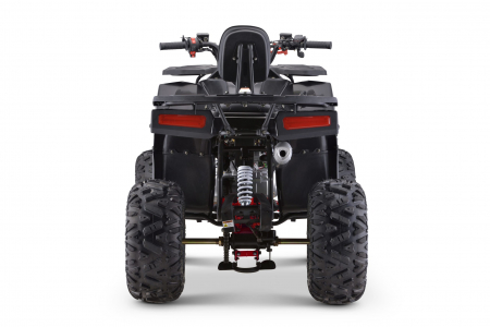 ATV motor benzina, 125cc, cutie automata, 4 timpi, racire cu aer, model ATV009 [3]