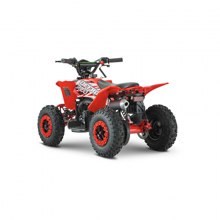 ATV RDB AV49, 49cc, Racire pe aer, 2 Timpi [6]