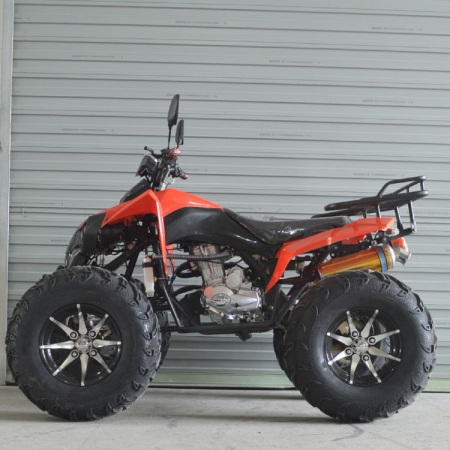 ATV ZG250-C-5, motor benzina,250cc, 4 viteze, cutie de viteze manuala [3]