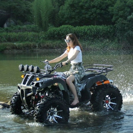 ATV ZG250C1, motor benzina, 250cc, 4 viteze, cutie de viteze manuala [3]