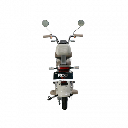 Scuter Electric RDB PARIS, 600W, fara permis, 48V 20Ah, 25km/h [8]