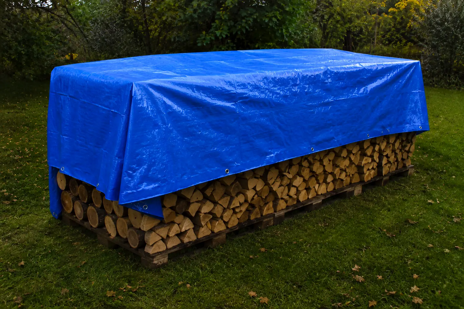 Prelata Albastra 4x6m [2]