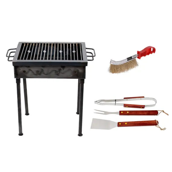 Casa si Gradina - Pachet Gratar Metalic 40x30cm cu Perie de Sarma si 3 Accesorii
