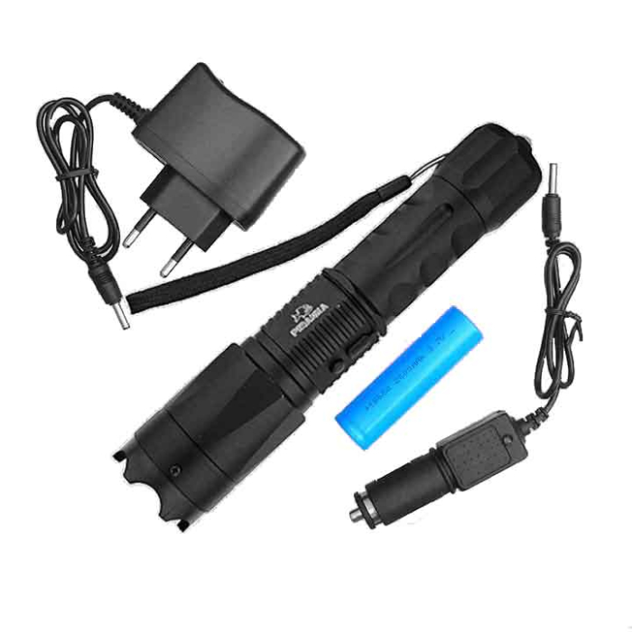 Lanterna cu electrosoc cu acumulator schimbabil [2]