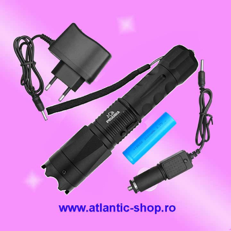Lanterna cu electrosoc cu acumulator schimbabil [2]